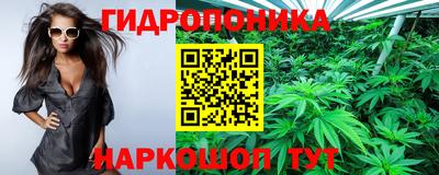 ПСИЛОЦИБИНОВЫЕ ГРИБЫ Гатчина