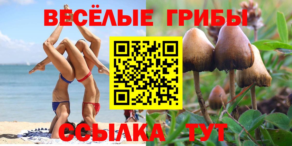 Биробиджан  Галлюциногенные грибы MAGIC MUSHROOMS  Галлюциногенные грибы Psilocybine cubensis  Вход с VPN 